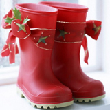 Flori de Sfantul Nicolae